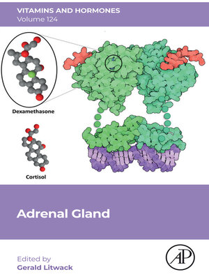 cover image of Adrenal Gland
